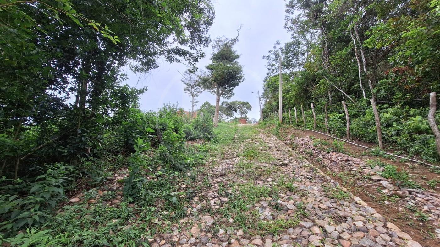Terreno, 1740 m² - Foto 4