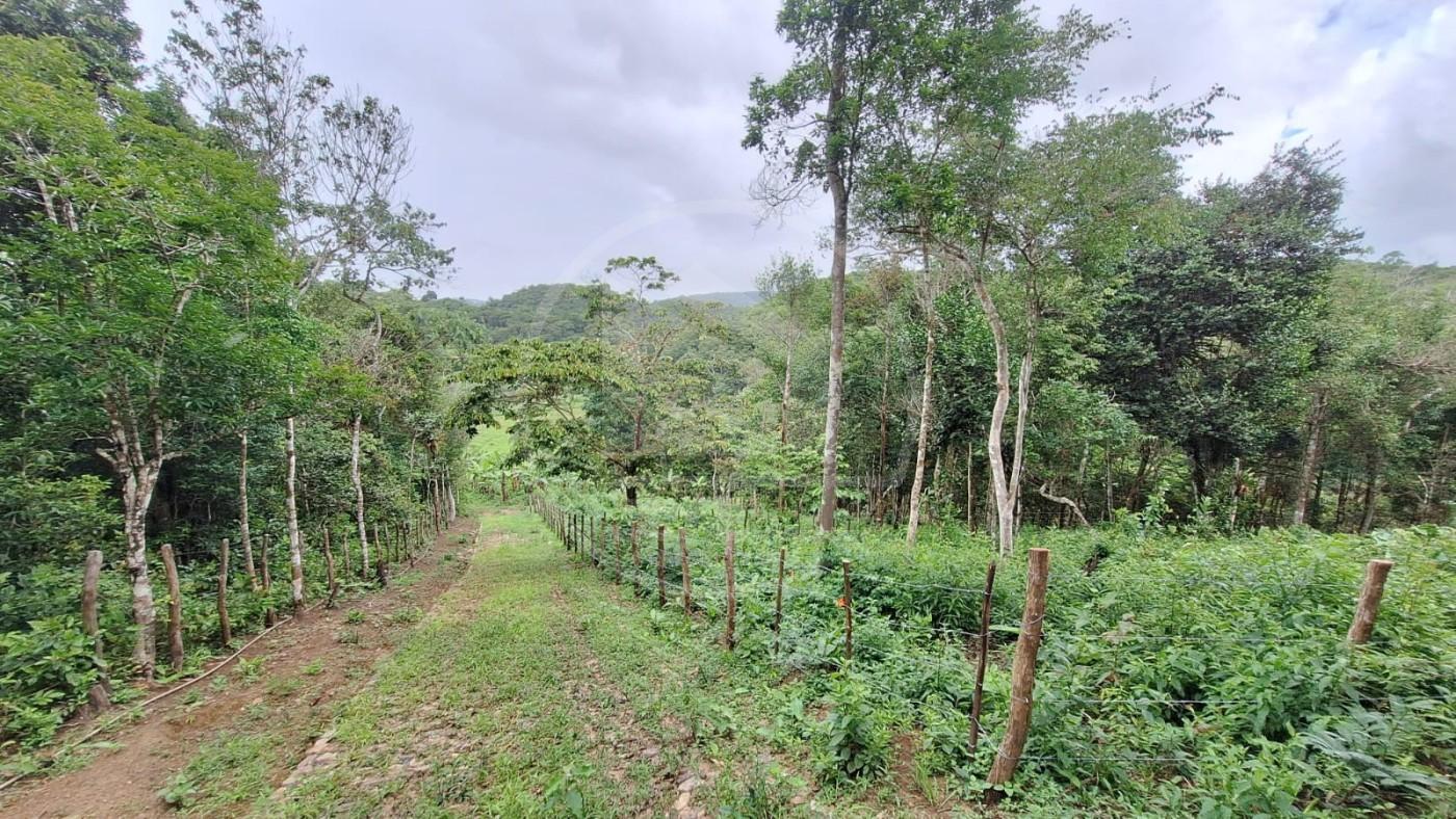 Terreno, 1740 m² - Foto 7