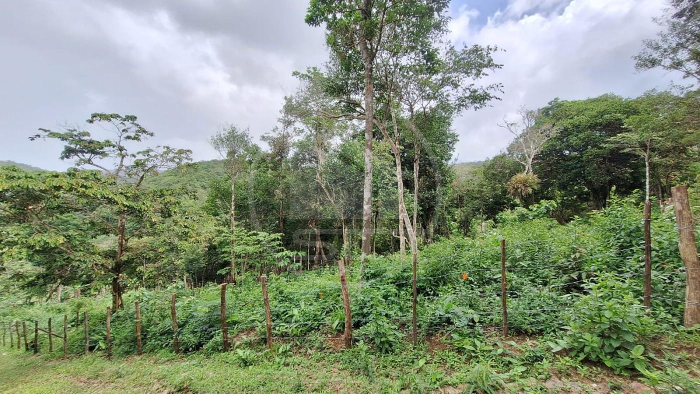 Terreno, 1740 m² - Foto 6