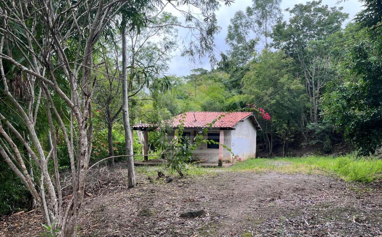 Casa, 4 quartos, 5000 m² - Foto 2