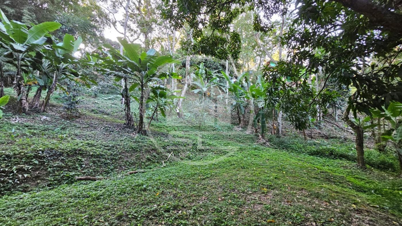 Casa, 5 quartos - Foto 4