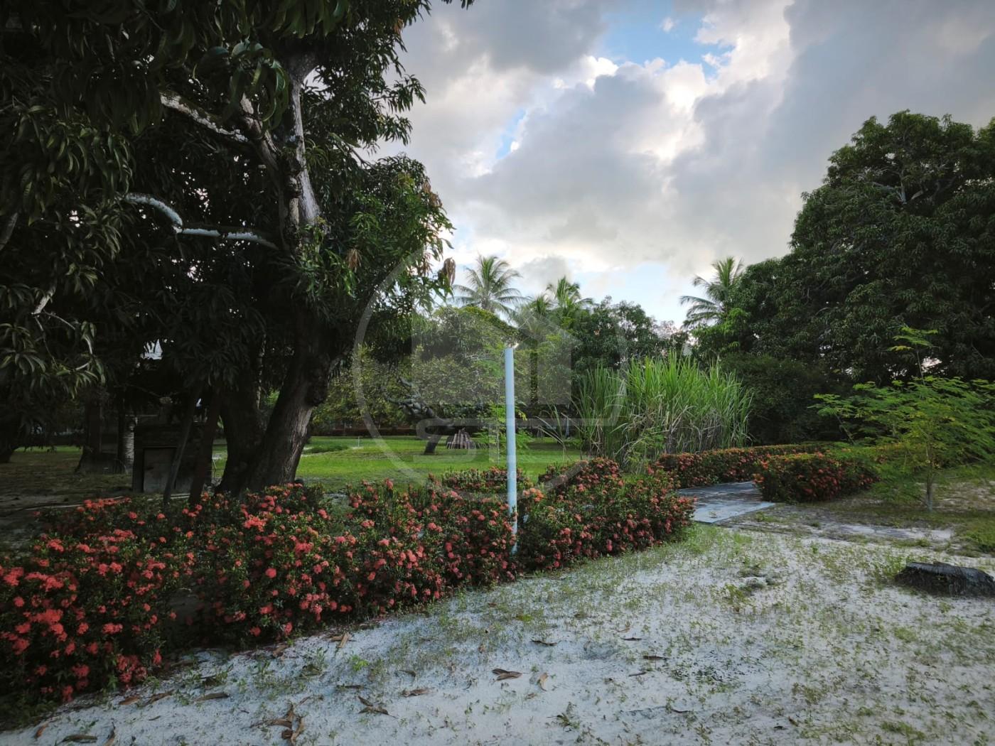 Fazenda, 1 hectares - Foto 19