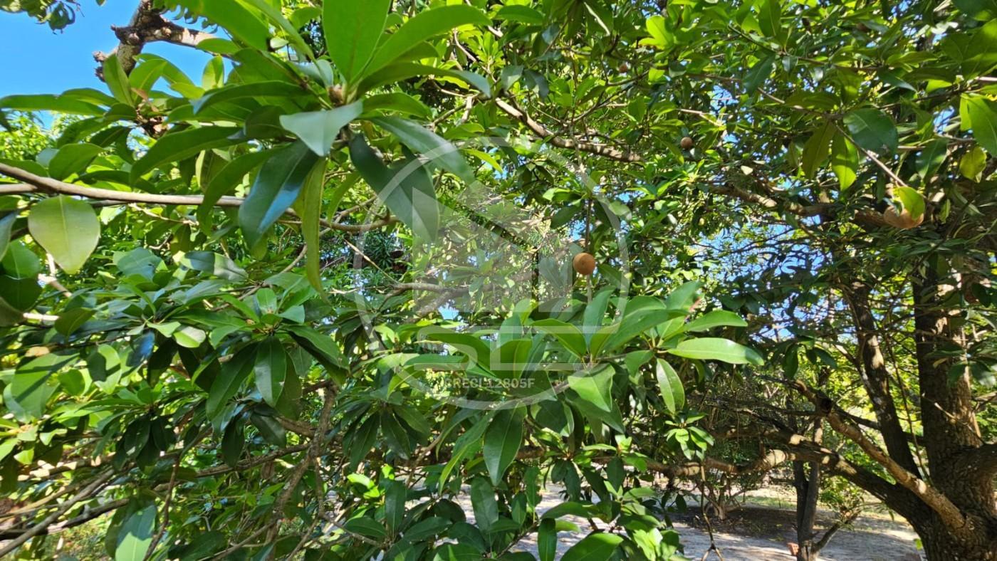 Fazenda, 1 hectares - Foto 21