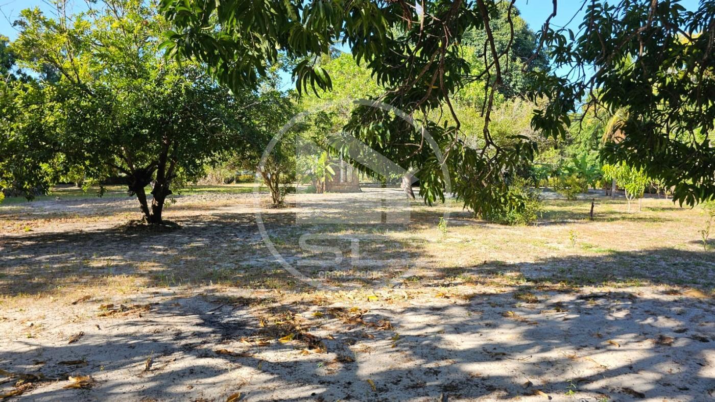 Fazenda, 1 hectares - Foto 27