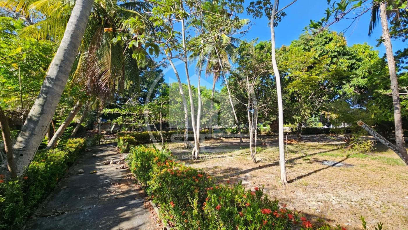 Fazenda, 1 hectares - Foto 28