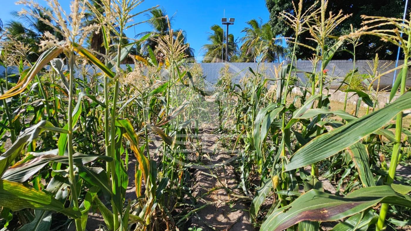Fazenda, 1 hectares - Foto 45