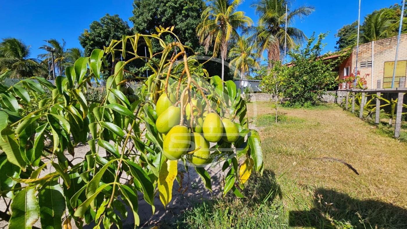 Fazenda, 1 hectares - Foto 46