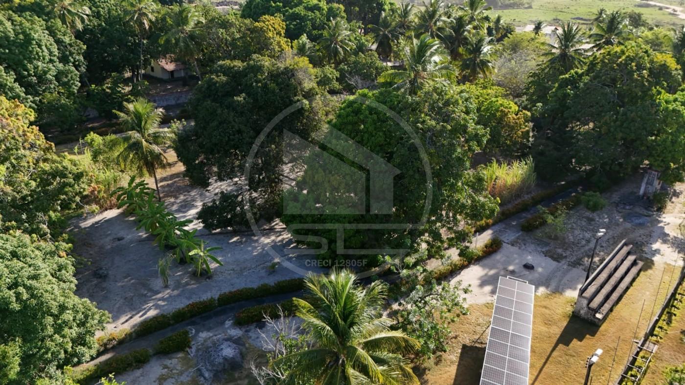 Fazenda, 1 hectares - Foto 7